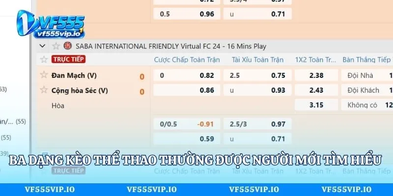 Ba dạng kèo thể thao thường được người mới tìm hiểu trước