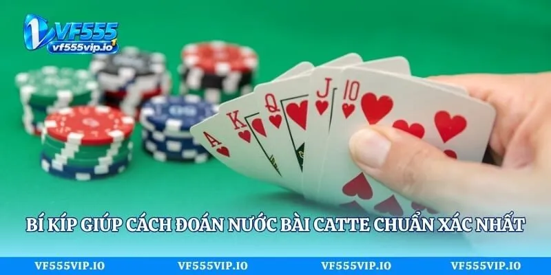 Bí kíp giúp cách đoán nước bài Catte chuẩn xác nhất