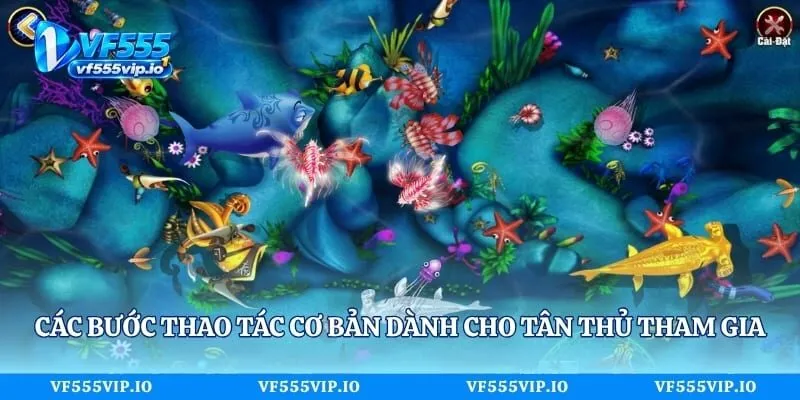Các bước thao tác cơ bản dành cho tân thủ tham gia