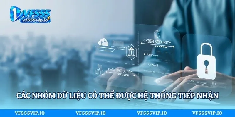 Các nhóm dữ liệu có thể được hệ thống tiếp nhận