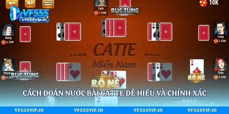 Cách đoán nước bài Catte dễ hiểu và chính xác
