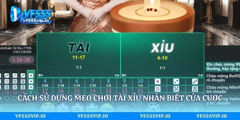 Mẹo Chơi Tài Xỉu Và Những Điều Người Mới Cần Biết Cách sử dụng mẹo chơi tài xỉu nhận biết cửa cược