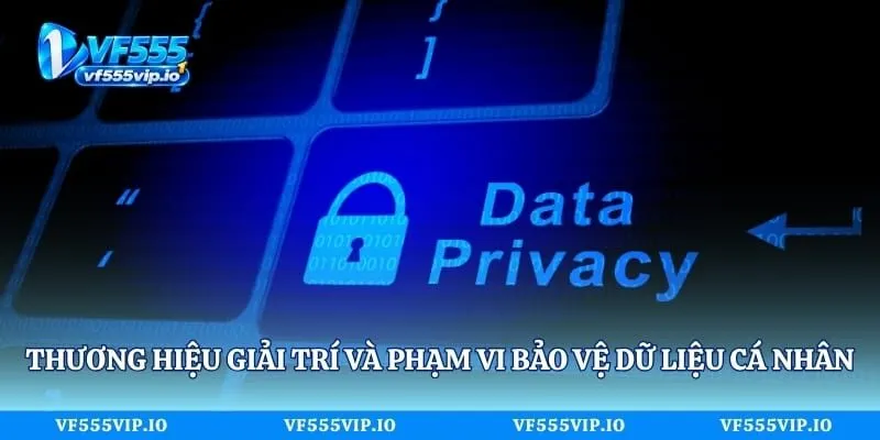 Quyền Riêng Tư Vf555 - Quy Định Bảo Vệ Thông Tin Thành Viên Thương hiệu giải trí và phạm vi bảo vệ dữ liệu cá nhân